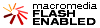 Instale o programa Flash