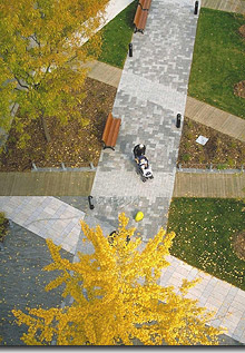 Le nouvel am&eacute;nagement de la place.