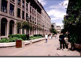 L'allée-jardin