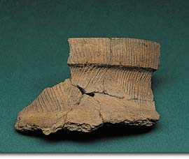 Fragments of a Huron-style vase